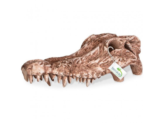 Декорация череп крокодила Terrario Crocodile Skull 30x14x9см