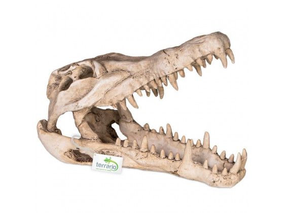 Декорация череп крокодила Terrario Crocodile Skull XL 23x11x16см