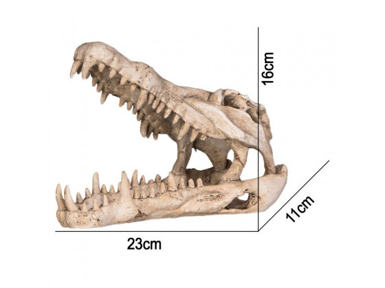 Декорация череп крокодила Terrario Crocodile Skull XL 23x11x16см