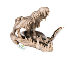 Декорация череп крокодила Terrario Crocodile Skull XL 23x11x16см