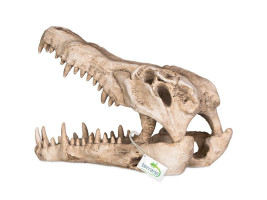 Декорация череп крокодила Terrario Crocodile Skull XL 23x11x16см