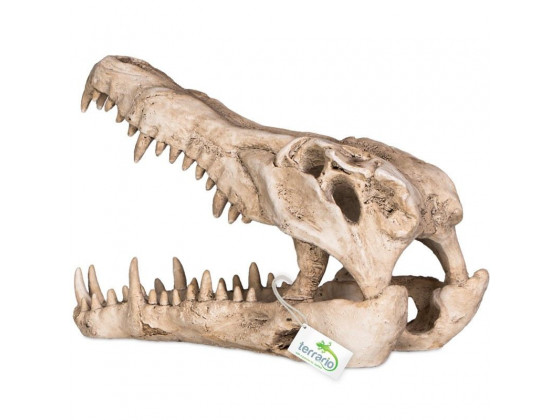 Декорация череп крокодила Terrario Crocodile Skull XL 23x11x16см