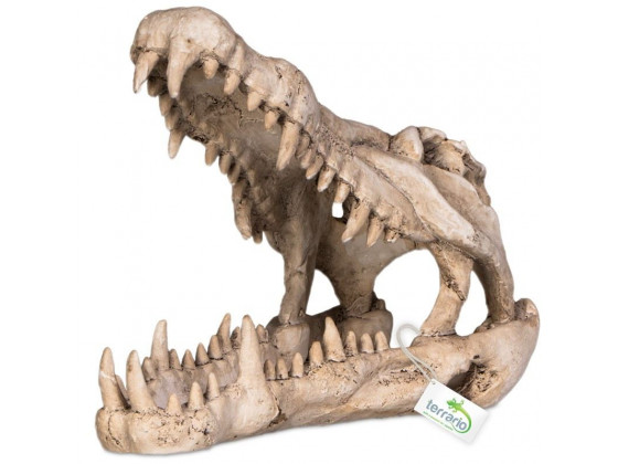 Декорация череп крокодила Terrario Crocodile Skull XL 23x11x16см