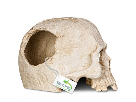 Декорация черепа человека Terrario Human Skull 14x11x11см