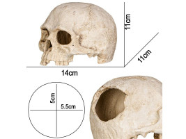 Декорация черепа человека Terrario Human Skull 14x11x11см