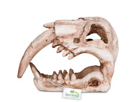 Декорация череп тигра Terrario Sabertooth Skull 13x8, 5x11см