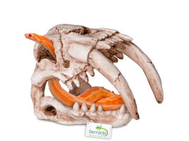 Декорация череп тигра Terrario Sabertooth Skull 13x8, 5x11см