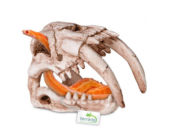 Декорация череп тигра Terrario Sabertooth Skull 13x8, 5x11см