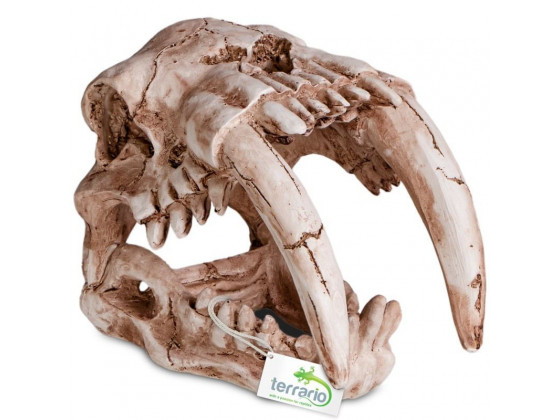 Декорация череп тигра Terrario Sabertooth Skull 13x8, 5x11см