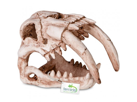 Декорация череп тигра Terrario Sabertooth Skull 13x8, 5x11см