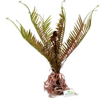 Штучна рослина папороть Terrario 40x14x41см