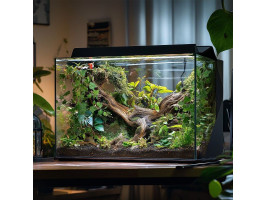Искусственное растение свисающий плющ Terrario 75см.