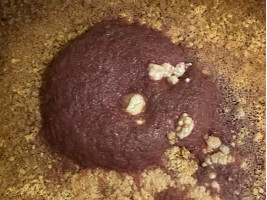 Культура Трубочник изя + смесь для старта