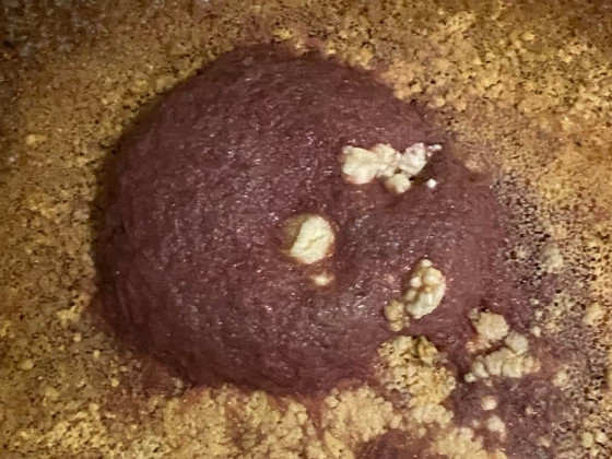 Культура корм для рыб Трубочник изя + смесь для старта