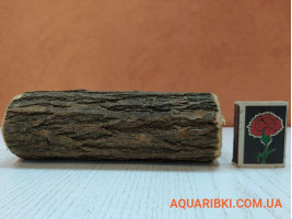 Деревянная нерестовая трубка для аквариумных сомов (ясень, дуб, акация) (d17 Украина)