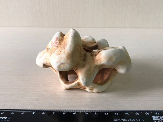 Декорация с отверстиями коричневая малая (Украина)