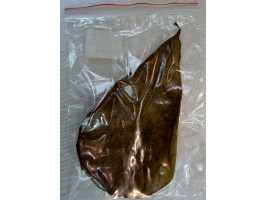 Кетапанг - Листя Індійського мигдалю 10 - 18 см (Catappa leaves)
