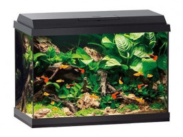 Аквариум Juwel прямой 70 л Primo 70 LED черный 61x44x31см