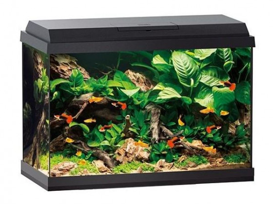 Аквариум Juwel прямой 70 л Primo 70 LED черный 61x44x31см