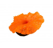 Декорация Deming Дискосома для аквариума силиконовая 11х8 см