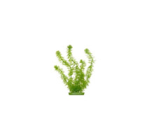 Искусственное растение Marina Hornwort пластик 20 см