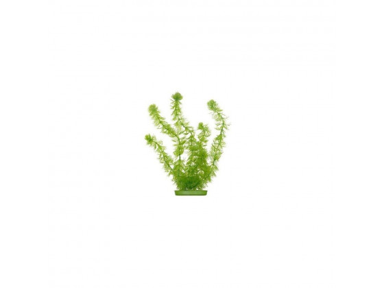 Искусственное растение Marina Hornwort пластик 20 см