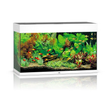 Аквариум Juwel прямой 125 л Rio 125 LED белый 81х50х36 см
