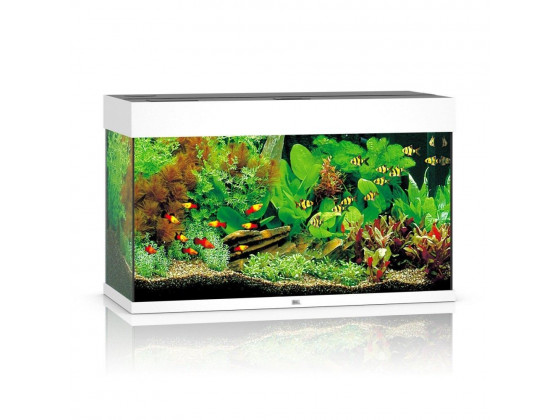 Аквариум Juwel прямой 125 л Rio 125 LED белый 81х50х36 см