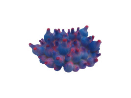 Декор Deming для аквариума Коралл-актиния Glowing пузырчатая силиконовая, набор 5 штук