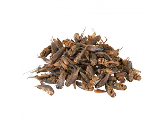 Корм Trixie для рептилий дополнительный Сверчки сушеные 25 г