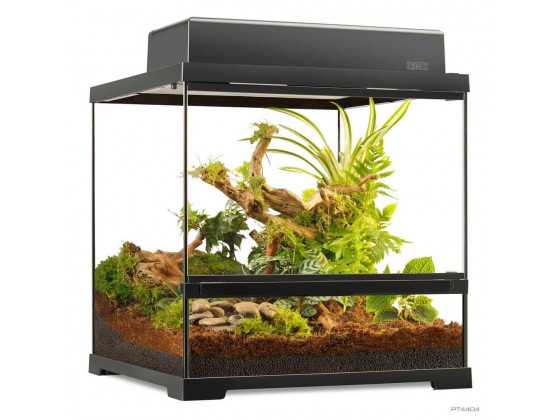 Террариум ExoTerra для экзотических животных Pro Terrarium стеклянный 45x45x45 см