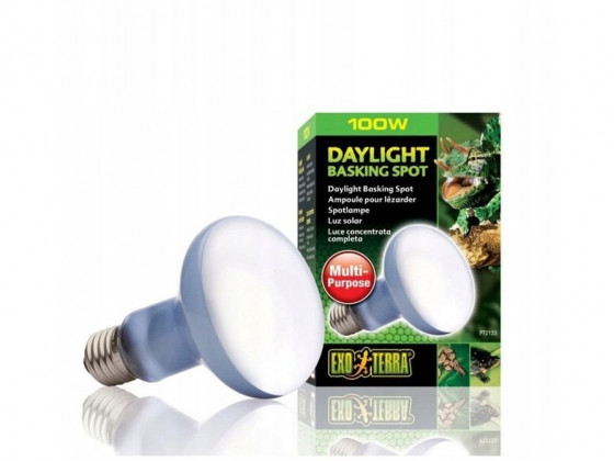 Лампа террариумная ExoTerra DAYLIGHT BASKING SPOT для террариумных животных зеркальная R25/100Вт