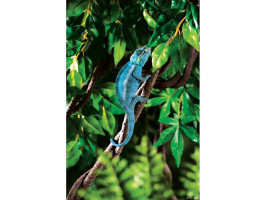 Растение ExoTerra для террариума Jungle Vine Лоза S