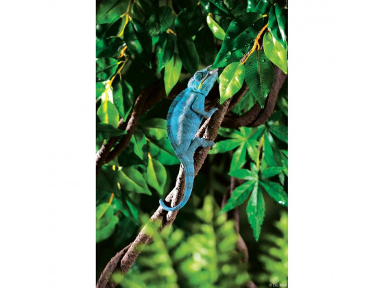 Растение ExoTerra для террариума Jungle Vine Лоза S