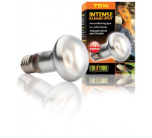 Лампа террариумная ExoTerra Daylight BASKING SPOT для террариумных животных дневная обогревающая зеркальная S20/75 Вт