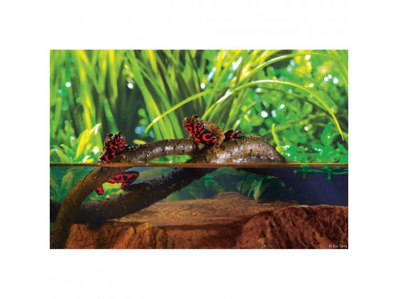 Растение ExoTerra для террариума Jungle Vine Лоза S