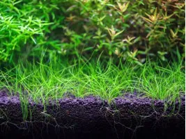 Грунт для акваріума Aquario Neo Soil Plant 3л