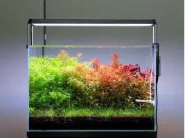 Грунт для акваріума Aquario Neo Soil Plant 3л