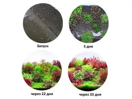 Грунт для акваріума Aquario Neo Soil Plant 8л 