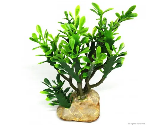 Искусственное растение кактус Hobby Euphorbia M 15x7x17см Искусственное растение кактус Hobby Euphorbia M 15x7x17см