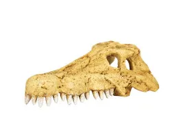 Крокодилячий череп Repti-Zoo Crocodile Skull M 18x10x5.5см 
