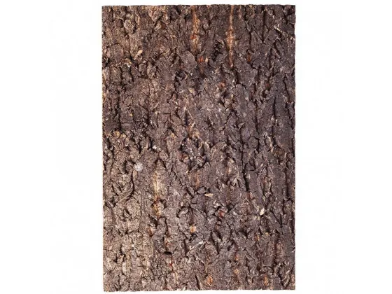 Фон из коры для террариума Repti-Zoo Big Tree Background 45x60 Фон из коры для террариума Repti-Zoo Big Tree Background 45x60