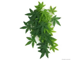 Штучна рослина Repti-Zoo Velvetleaf 40см 