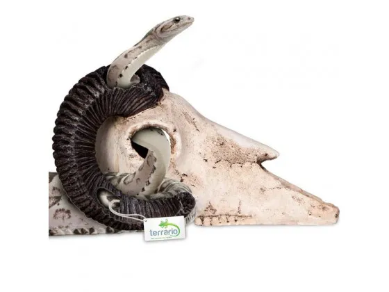 Декорация череп барана Terrario Ram Skull 19x16x11см Декорация череп барана Terrario Ram Skull 19x16x11см