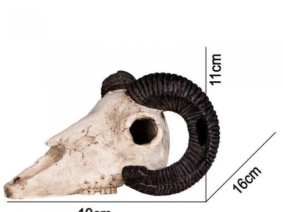 Декорация череп барана Terrario Ram Skull 19x16x11см Декорация череп барана Terrario Ram Skull 19x16x11см
