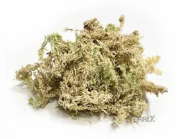 Мох Сфагновый 2л TerriX